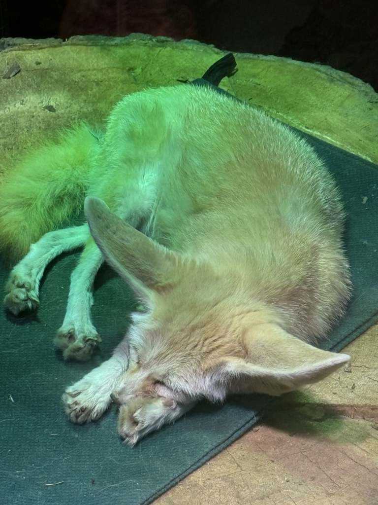 5201742820875045036.jpg 5201742820875045036.jpg